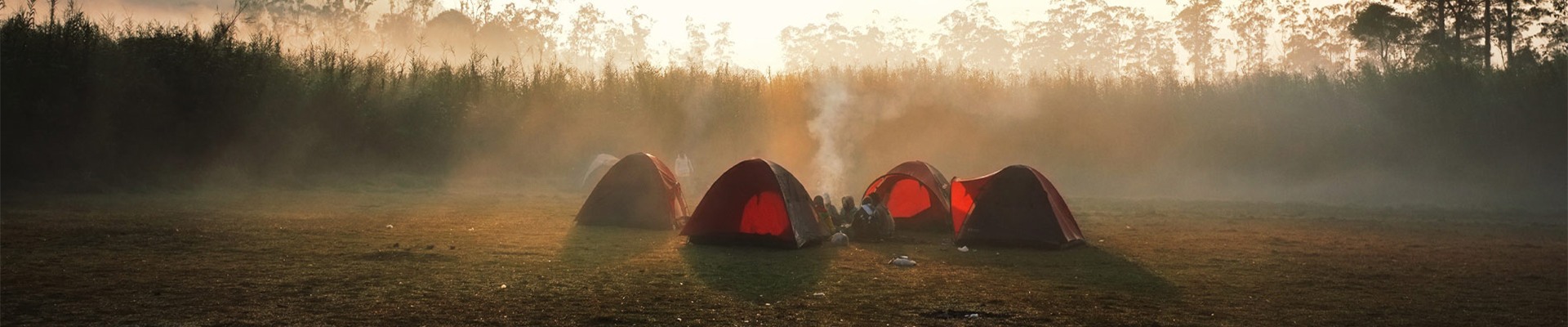 Social Media Coordinator (Εθελοντής)