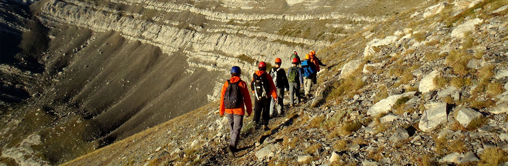 sep-participation-background-3